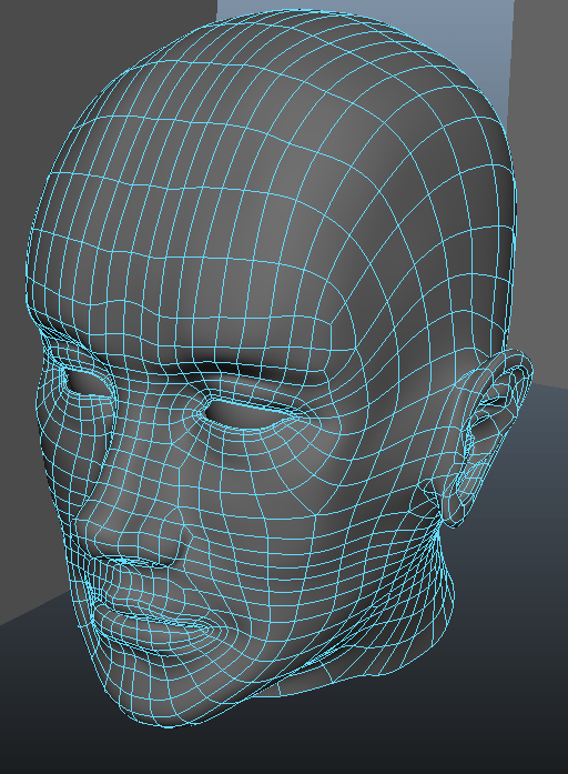 HEADMODEL4